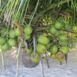 FB_IMG_1663077480242