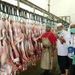 daging-dam-71