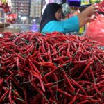 harga-cabai-merah-di-ternate-turun