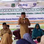 full_1wagub