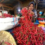 harga-cabai-merah1