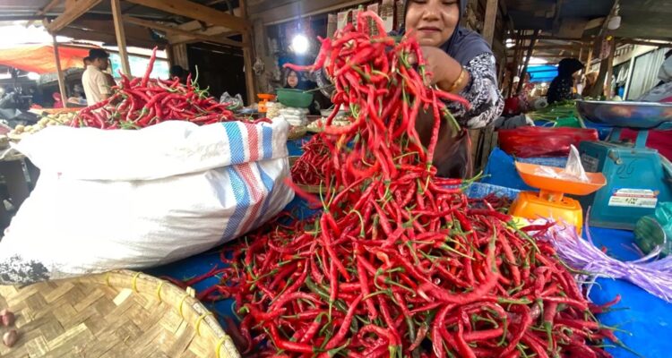 harga-cabai-merah1