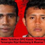 dpo-kasus-tambang