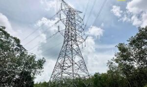 sutet-pln